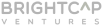 BrightCap logo